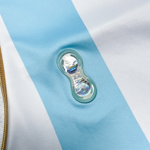 Camisa Argentina Titular 2006