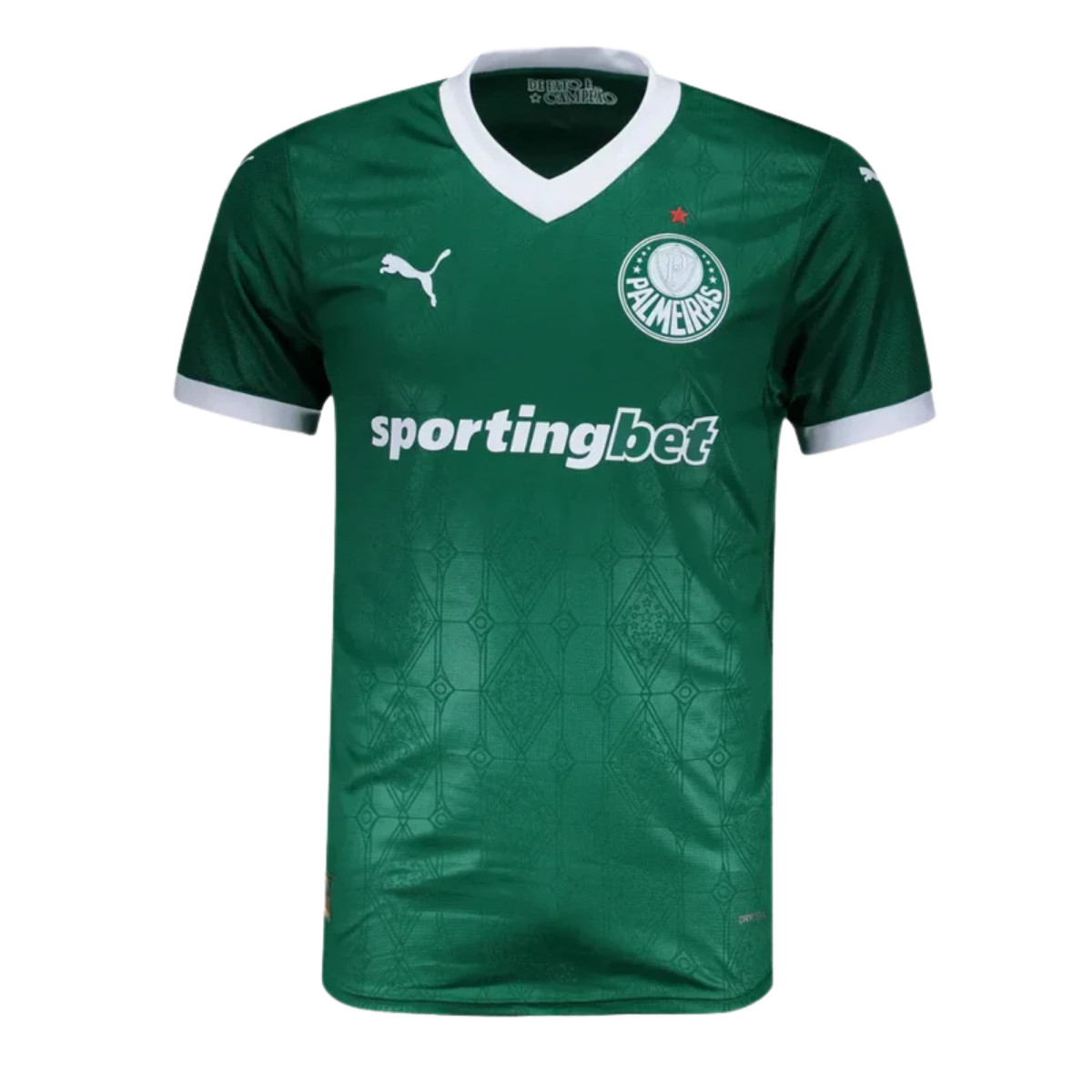 Camisa I Palmeiras 2025/26